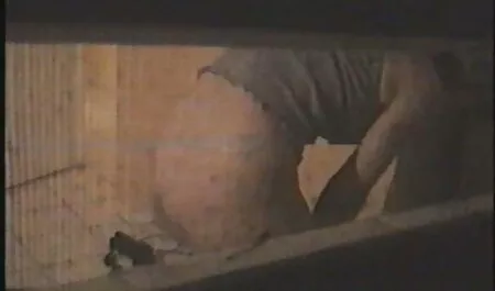 Stepdad دانلود ناپدری دانلودفیلم سوپرایرانی وخارجی عضو با اسب